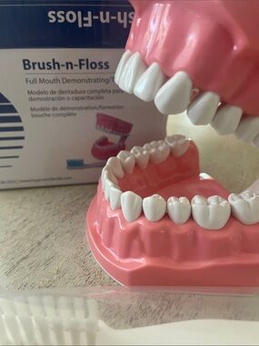 Hager Brush-n-Floss Training Full Mouth Model w/Toothbrush — with White Bristles